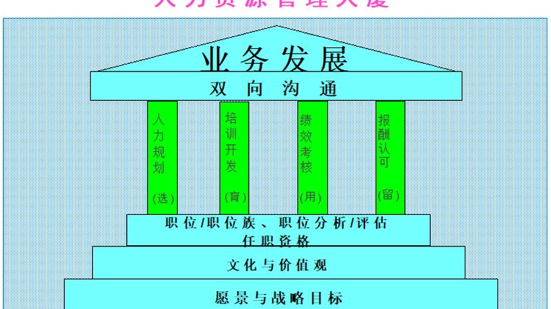 项目外包定制方案：优劣势解析与决策要点**
